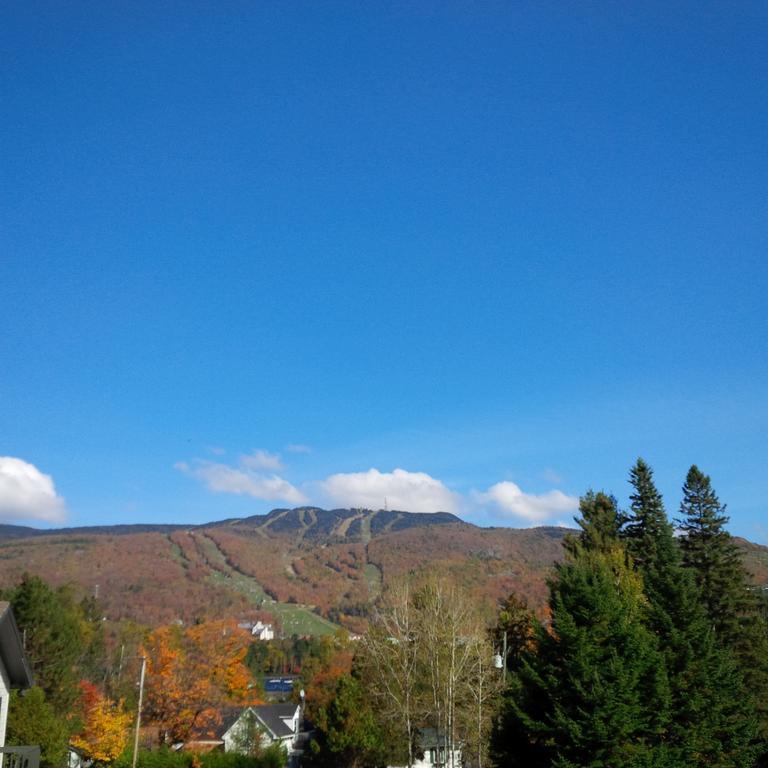 Les Chalets Sauvignon Mont-Tremblant Quarto foto